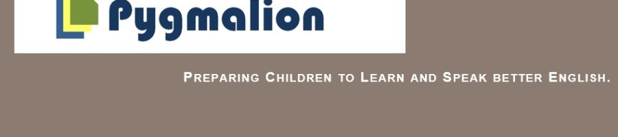 Logo of Pygmillion representing the brand identity.